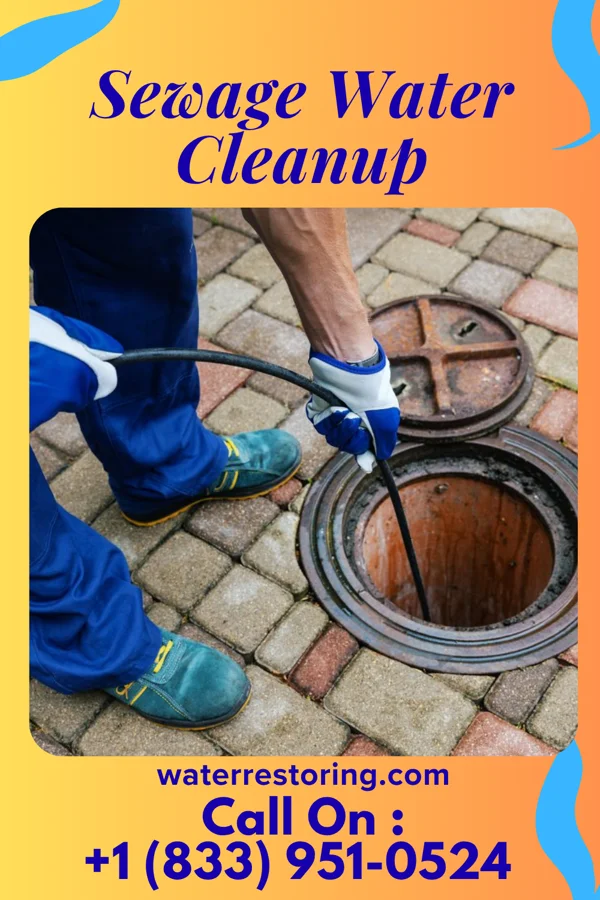 Sewage Water Cleanup in Elmdale, KS